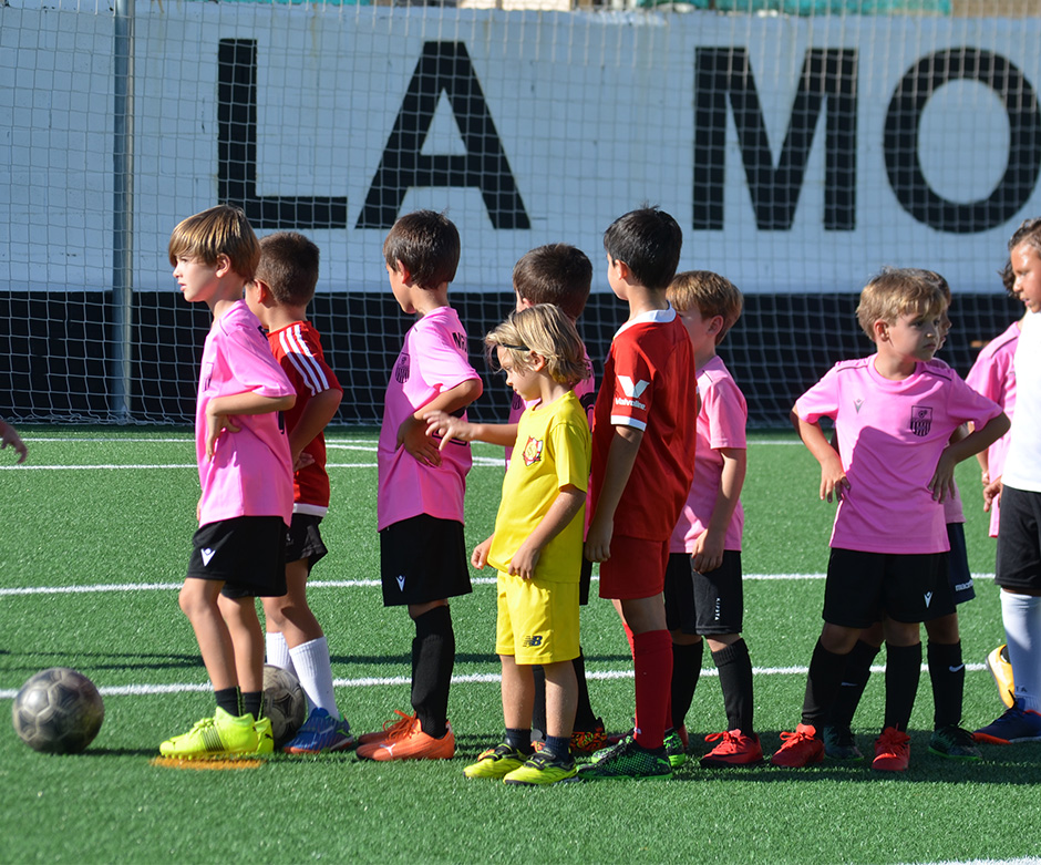 El Vínculo Entre El Deporte Y El Rendimiento Académico Beneficios La