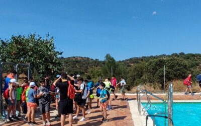 Campamento de Verano 2025